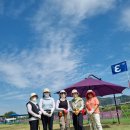 동대문파크골프25 제7기생님 동대문파크골프협회 신규 활성화교육 9월8일 월요일~9월29일 월요일 총4주4회 이미지