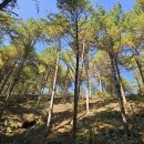 횡성군 산림조합 이미지