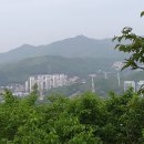 종지봉(이매동) 티스토리