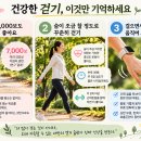 하루 1만 보 꼭 걸어야 할까? 많이 걸을수록 좋다는 믿음의 진실 이미지