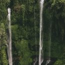 오늘의 하루 이미지