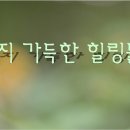 퀀텀펄스 (홈/프로) 종합 체험 후기 이미지