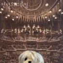 전설의 그루밍 이미지