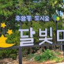 문현4동 체육공원 네이버블로그