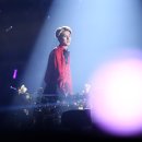 리즈컬러 이미지