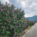 상주 승곡리 추원당 이미지