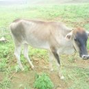 태일농장 이미지