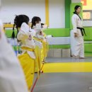 고려용호태권도장 네이버블로그