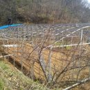 알이랑농장 이미지