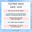 테오트리 이미지