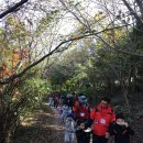 노엘유치원 이미지