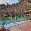 상남도서관 맞은 편 이미지