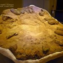 목포자연사문화박물관 이미지