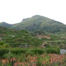 세어도 민박 이미지