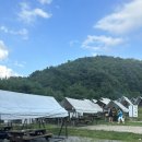 반려동물 동반 여행 | 홍천 BBQ셀프가든 내돈내산 후기