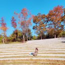 고창 선운산 도립공원/국가 생태 문화 탐방로/막걸리한잔