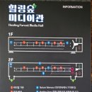 영동군청 | [힐링숲 미디어관] "이게 무료라고?" 영동 가면 무조건 들러야 할 2026년 핫플레이스!