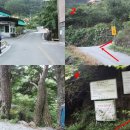 지리산추성민박 Daum카페