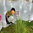 요리조리쿡쿡 | 겨울철 아이랑 실내 놀이터 체험공간 용인 상상의 숲