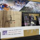 태권아리랑 이미지