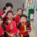 강철태권도체육관 이미지