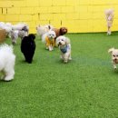 멍스토리 이미지