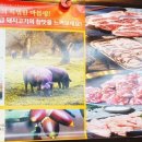 노량진 생고기 이미지
