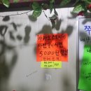 주진주유소 이미지