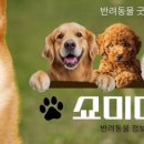 쇼미더펫 이미지