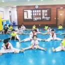 고려대 솔빛 태권도 이미지