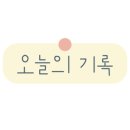 홍가네손만두 이미지