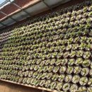 광영농장 이미지