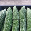 여주-0087 이미지