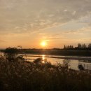 서창들녘협동조합 이미지