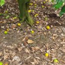 한시열농장 이미지