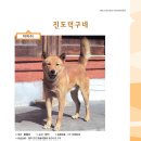 칼라광고 이미지