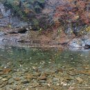 구름계곡민박 이미지