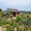 꿈꾸는 정원 이미지