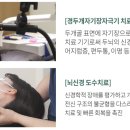 바른지성한방병원 이미지