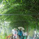 구포3동-9 이미지