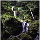 역동 362 이미지