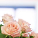 김경태한의원 이미지