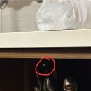 삼포휴게소 | 친구랑 고성 리조트 추천 오션투유리조트 2박3일후기