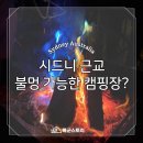 델리오 | 시드니 근교 불멍 가능한 캠핑장 찾고 있다면? 델리오 Del Rio 강추