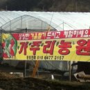 주리농장 이미지