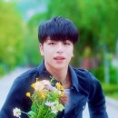 모해 이미지