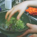 대룡목장 이미지