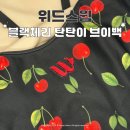위드스윔 신상 수영복 블랙체리 탄탄이 거북이 메쉬수모 착샷 후기