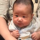 황토와 복분자 펜션 | [고창한옥펜션 ] &lt;봉덕&gt; 1박 2일 후기 | 고창 애견동반 가능 숙소 추천