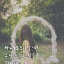 7월11일 화요일 출석방 활짝엽니다.~^^ 이미지